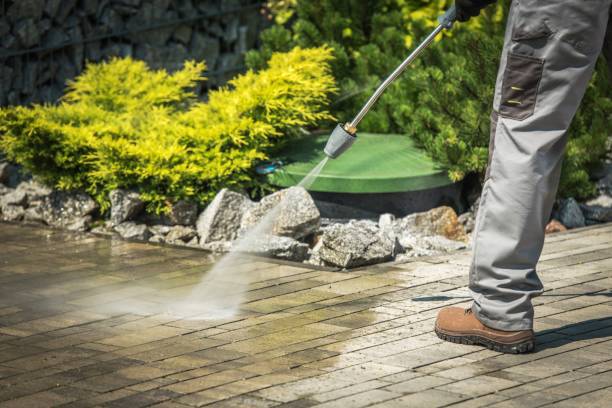 Best Driveway Pressure Washing  in St Bonaventure, NY