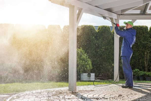 Best Paint Preparation  in St Bonaventure, NY