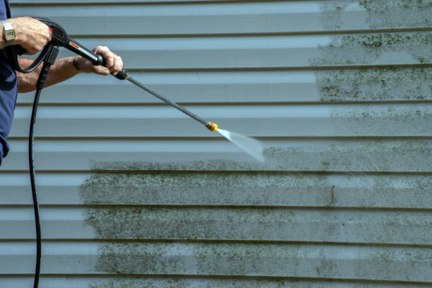 Best Building Exterior Washing  in St Bonaventure, NY