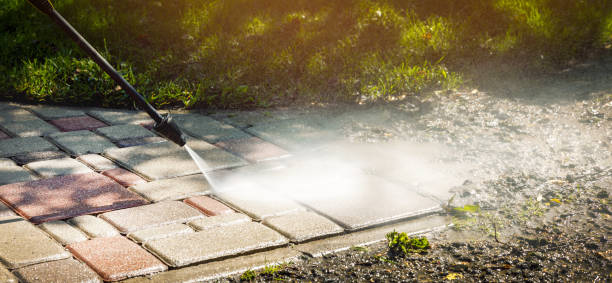 Best Spring Cleaning  in St Bonaventure, NY
